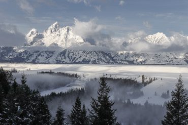 MORNING FROST