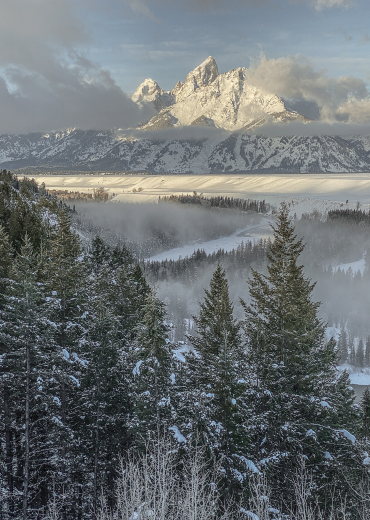 WINTER WONDER