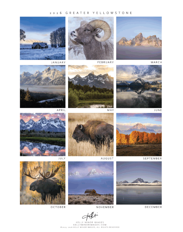 2026 YEAR CALENDAR - Image 2