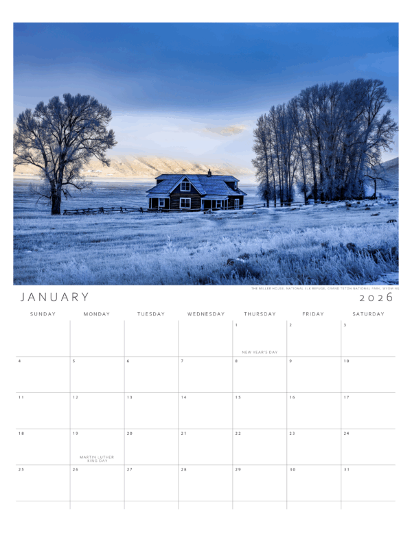 2026 YEAR CALENDAR - Image 3